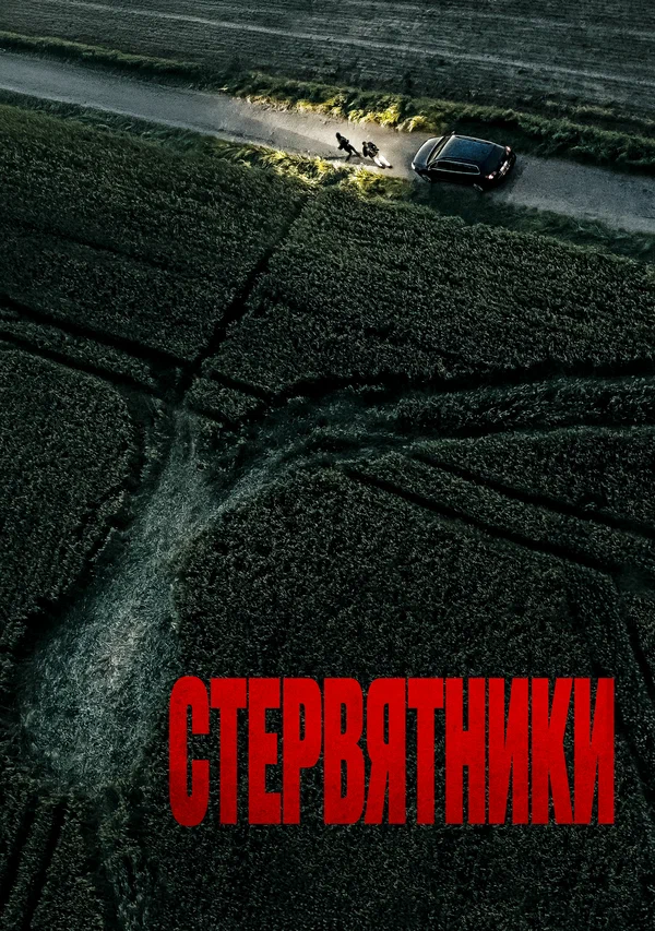Стервятники Стервятники